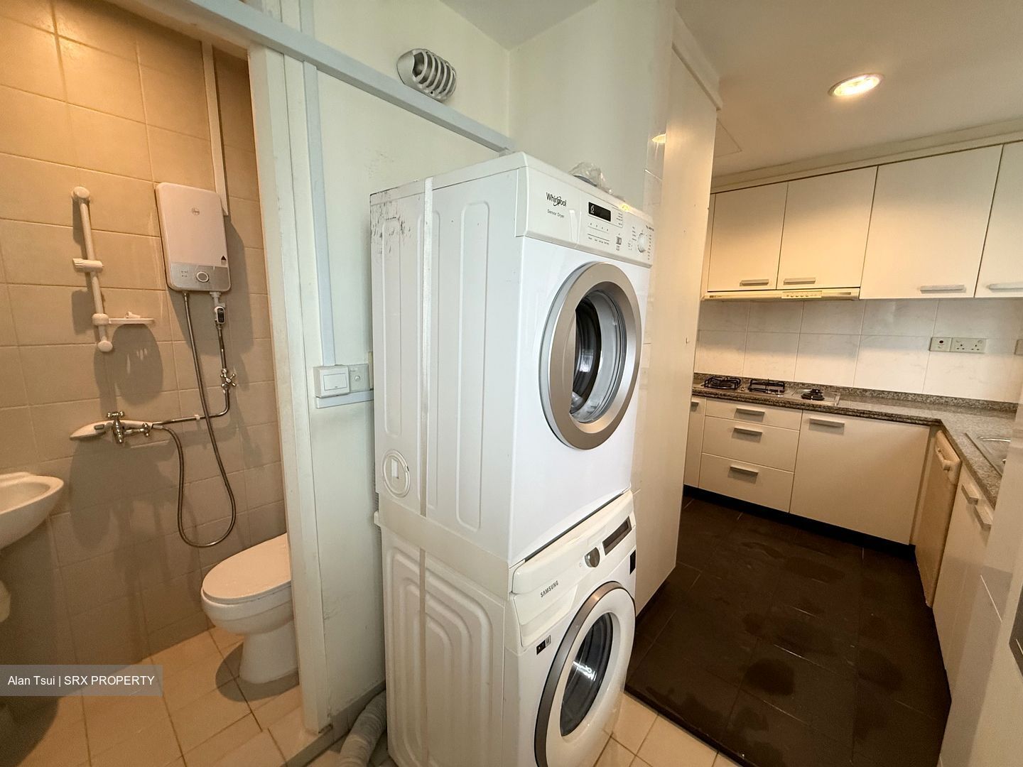 Amaryllis Ville (D11), Condominium #482417461